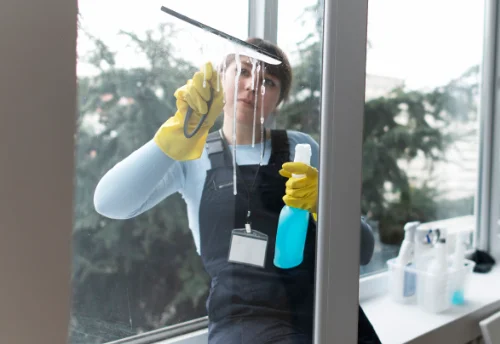 Nettoyage de vitres intérieures et extérieures à Saint-Georges-les-Bains